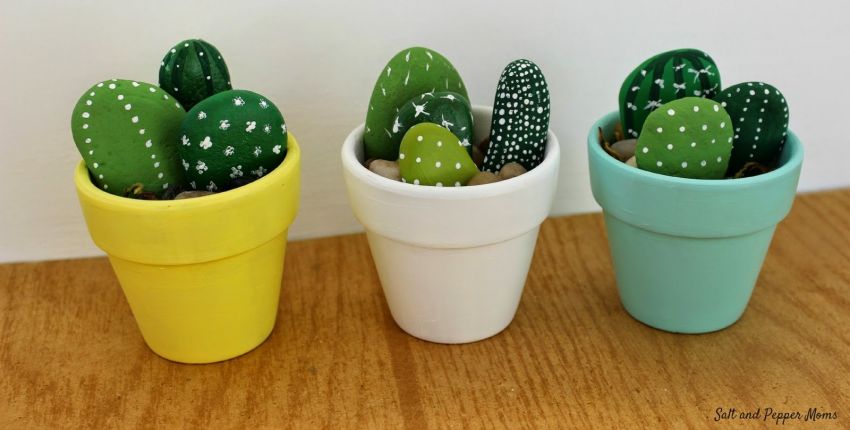 Cactus éternel